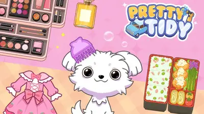 Pretty Tidy - ASMR Organizing - free online action game