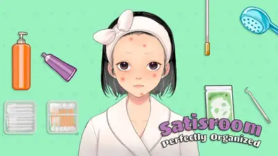 Satisroom - Perfectly Organized - free online arcade game